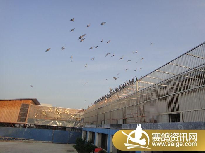 ���ս��������������ҽ�������