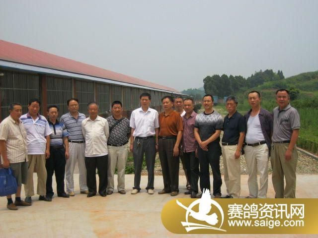 省鸽协副主席,公棚管理督导办主任,资阳市鸽协主席曾光富查看赛鸽