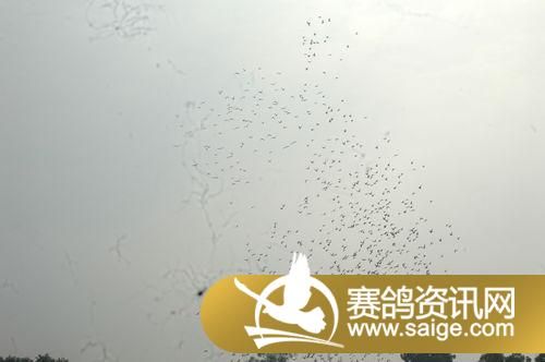 ������������