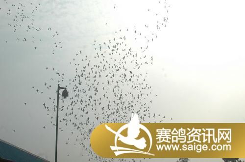 ������������