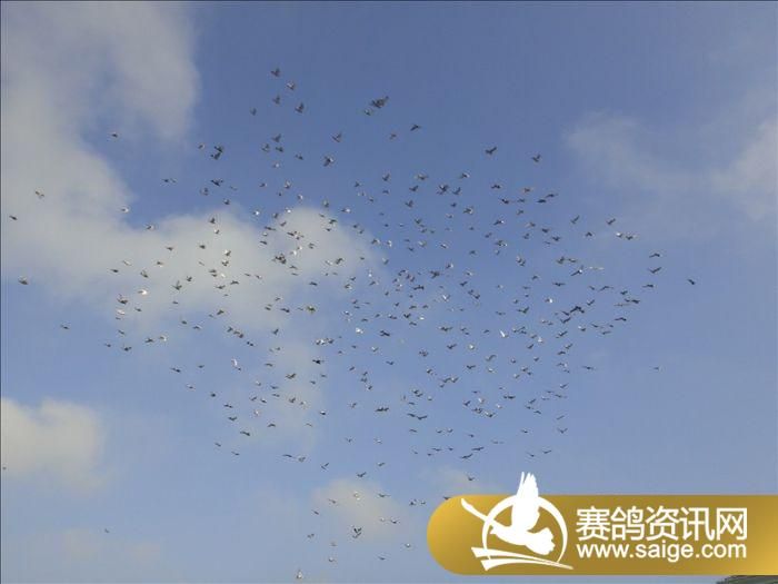 ���ս�������8��5�ռҷɾ�