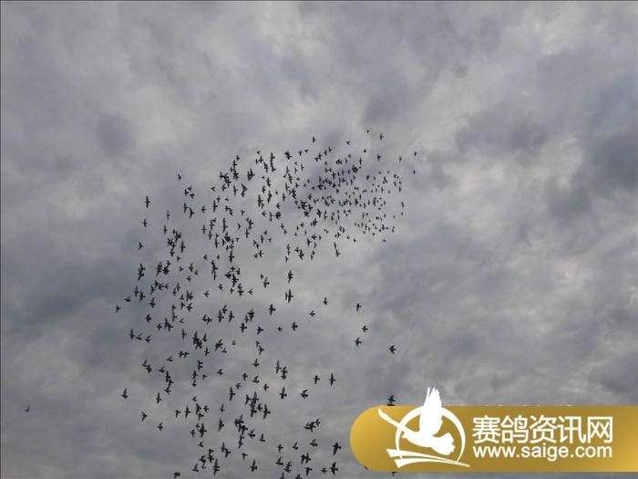 ���ս�������9��6�ռҷ�ͼ