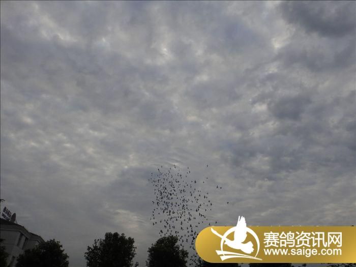 ���ս�������9��6�ռҷ�ͼ