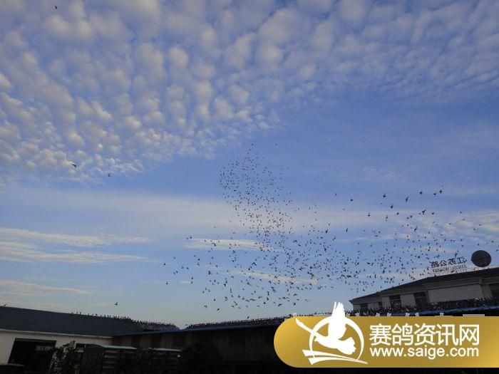 ���ս�������10��9�ռҷ�