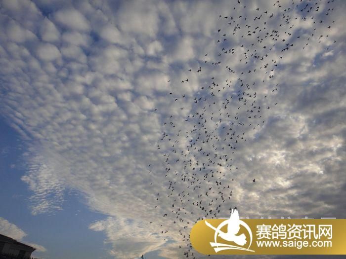 ���ս�������10��9�ռҷ�