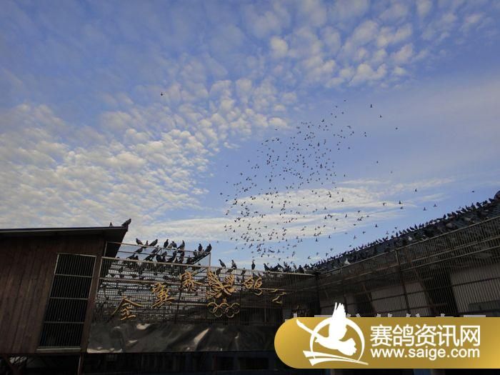 ���ս�������10��9�ռҷ�