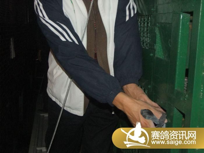 2011�＾Ԥ�����м���
