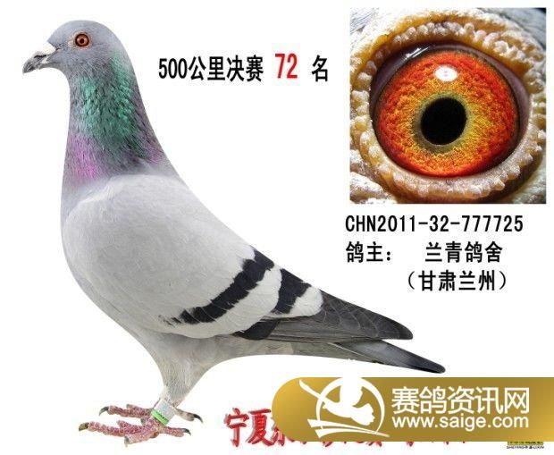 g_3a13ea59-9819-44ff-96ad-244aa475ce5b.jpg