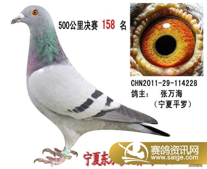 g_865854a2-7d78-446e-8c09-f86c4234d0ca.jpg