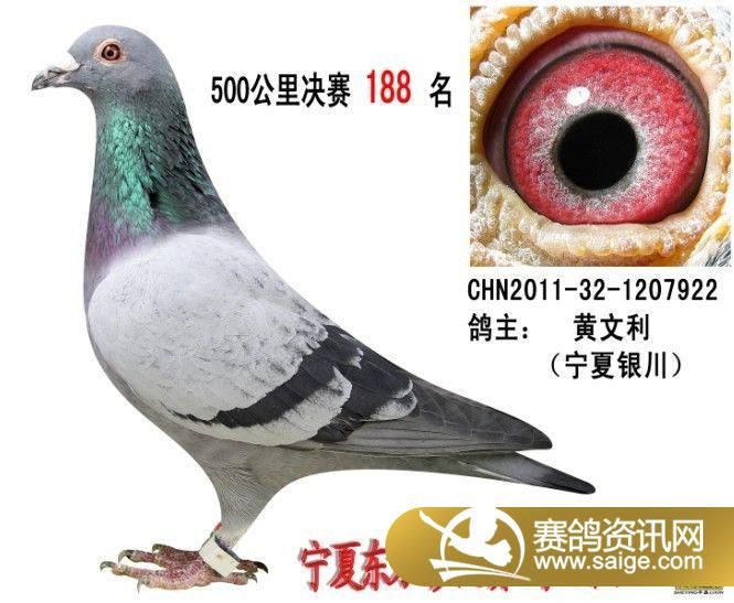 g_ce3019fa-79f2-48c9-beb0-f54b8b4d94d7.jpg