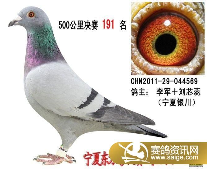 g_d54169b1-ac1d-44f1-b016-3c2387d8cd26.jpg