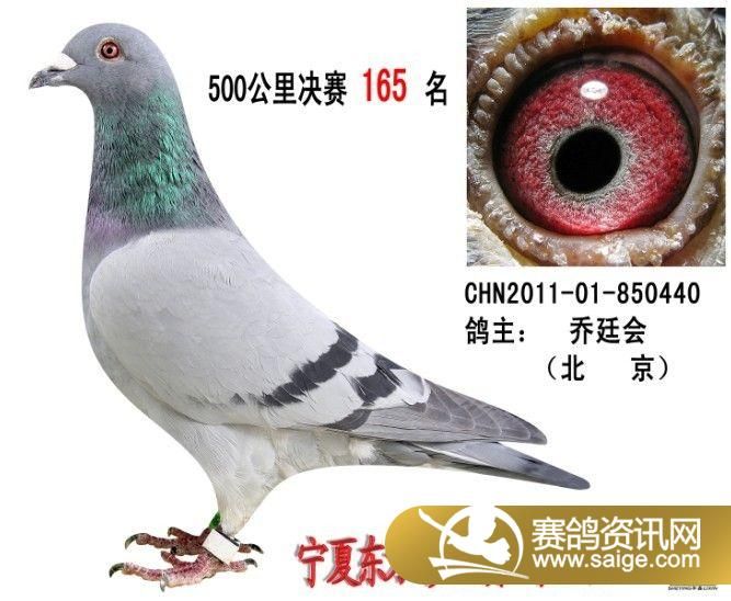 g_d9342a45-db85-4202-b7cd-12b0c679a2ac.jpg