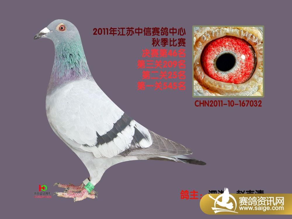 g_b5ad8d01-3e26-4826-8c63-a812a016e495.jpg