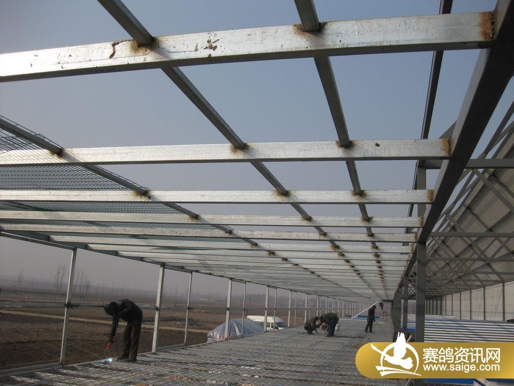 齐鲁兆佳赛鸽文化中心秋棚 建设中