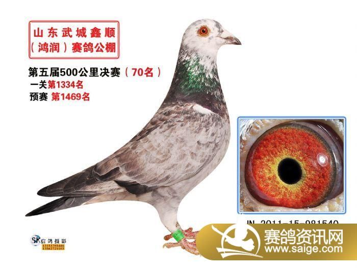 g_86cd25dd-4e1f-4165-9261-61c0bd547d51.jpg