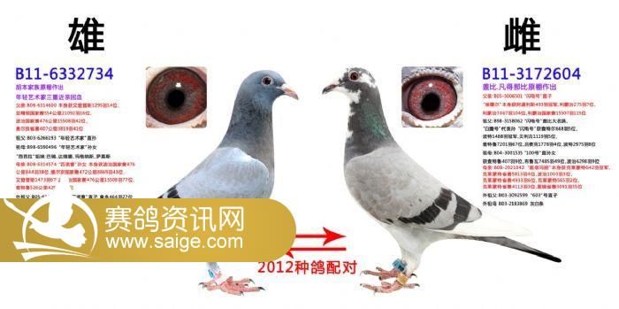 g_d4f88586-56fc-4934-beba-277ad633a12a.jpg