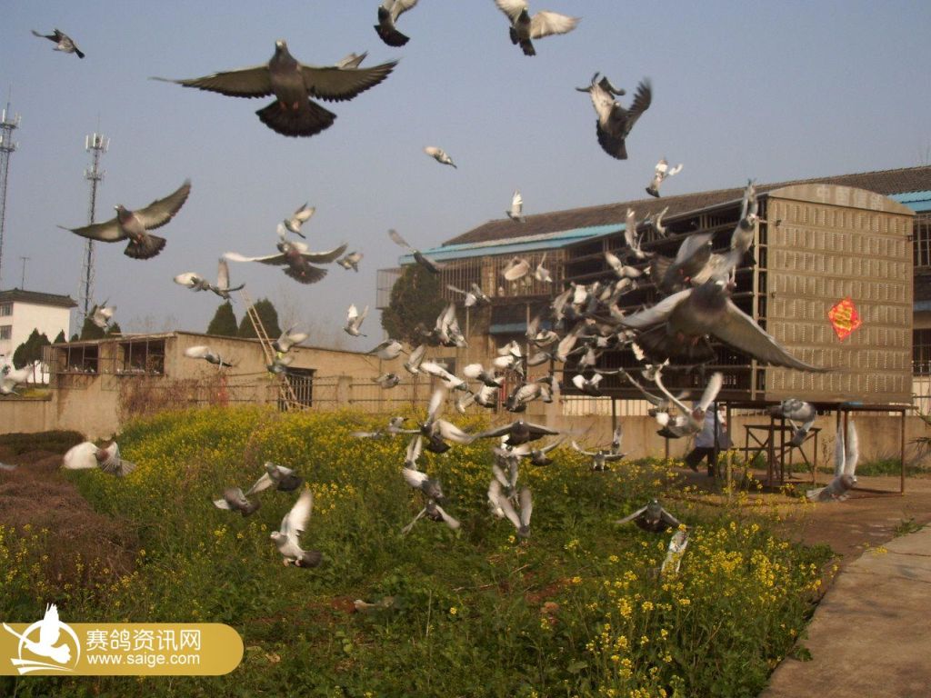 动态图片怎么制作醒图 g_b9cdb385-8cc5-4895-aa88-d43ae4ea9ce9.jpg