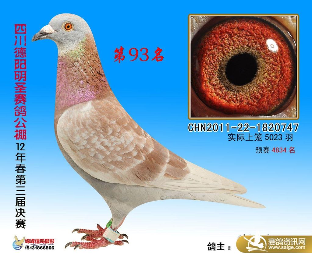 Ĵʡʥ빫(1-100)
