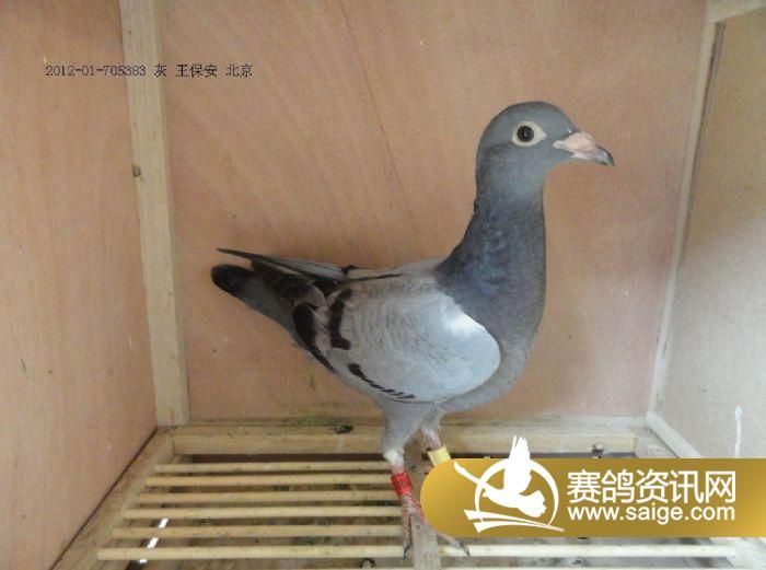 g_3cd0122e-7a11-4ae2-a0a9-3a14e211a17c.jpg