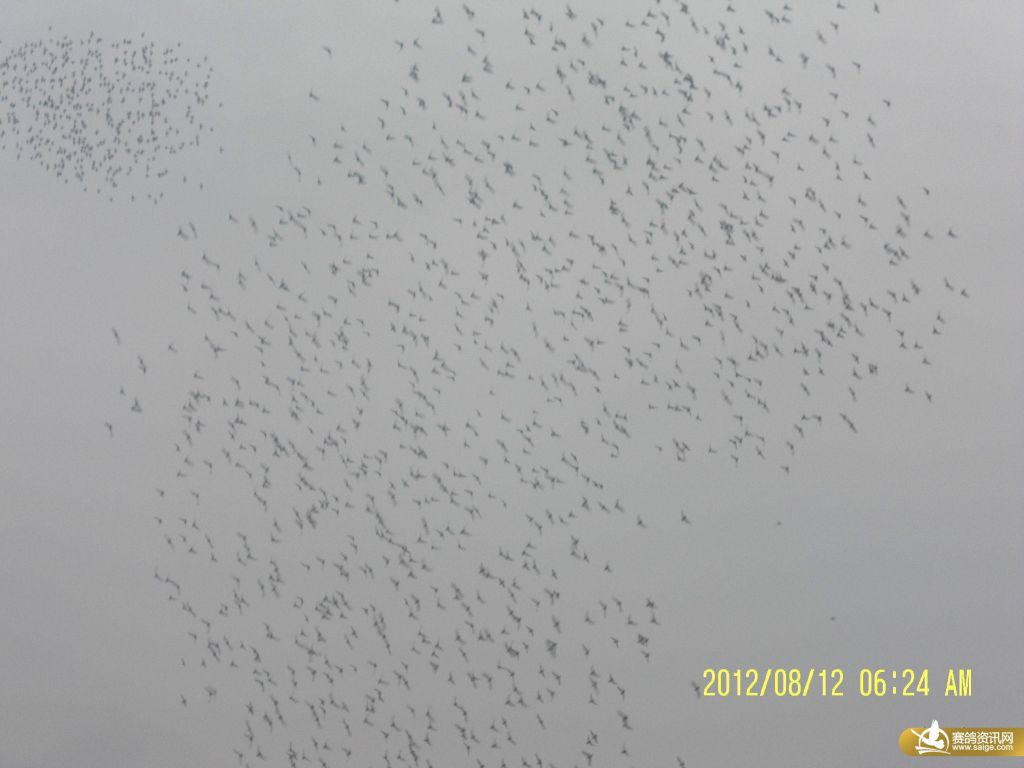 我是辽宁省2012年的美术生 这次联考打了 213