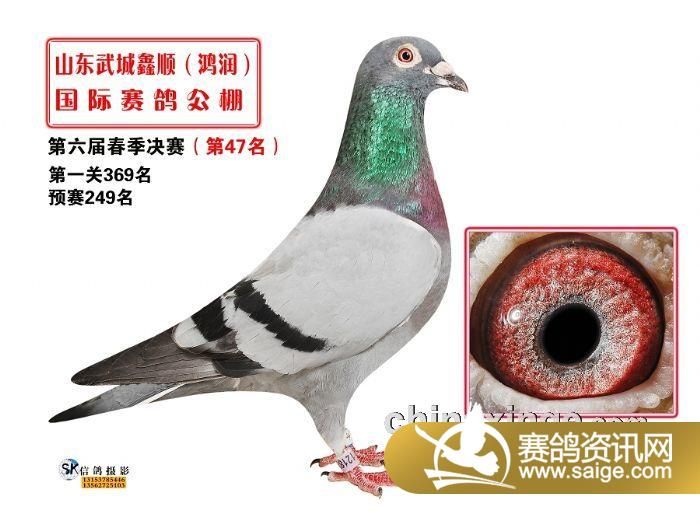 g_8a28d3c0-64f4-4707-be76-4fb0365a00ab.jpg