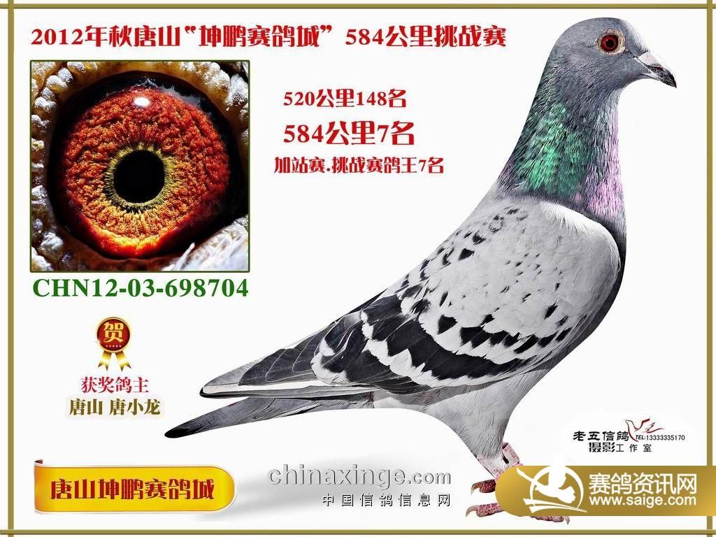 唐山坤鹏584公里挑战赛拍卖鸽图片(1-14名)