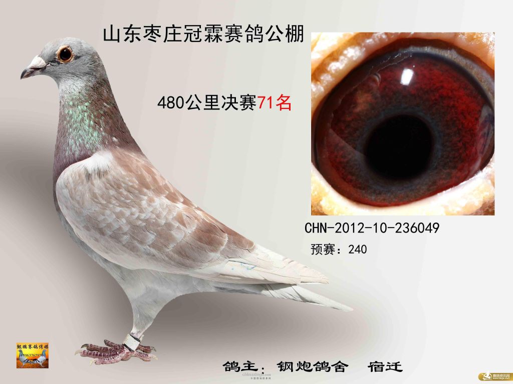 ɽׯ빫1-100