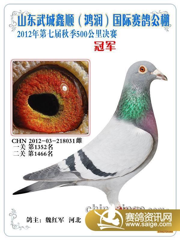 g_80f5418b-133d-4ae2-afeb-4682ed2632be.jpg