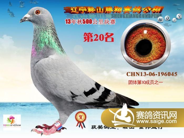 g_c9550acd-0785-49db-b305-0d2b266e3886.jpg