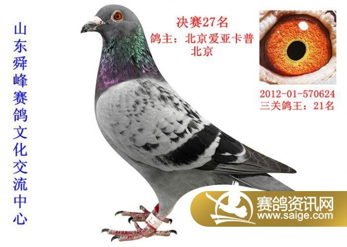 g_d7db08ae-7596-42cf-90da-0b6fb0465d2e.jpg