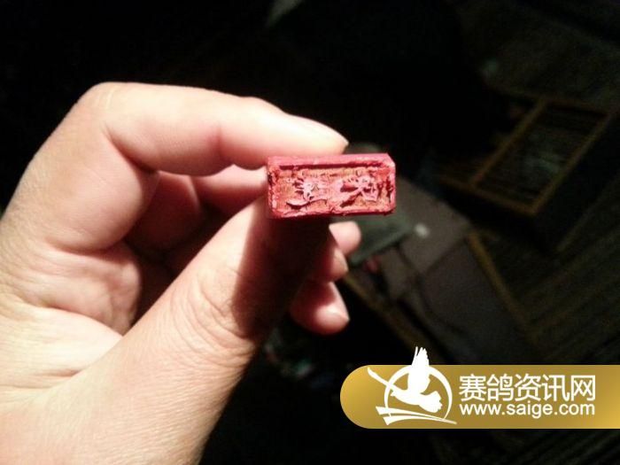 江苏东方国际赛鸽公棚480公里决赛集鸽现场图