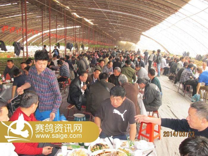 齐鲁兆佳春1,春2棚探视图片