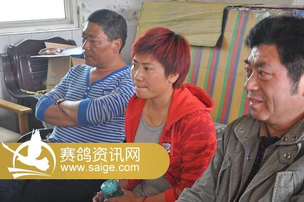 铁鸽三项公棚近期饲养管理(图)_公棚动态_江