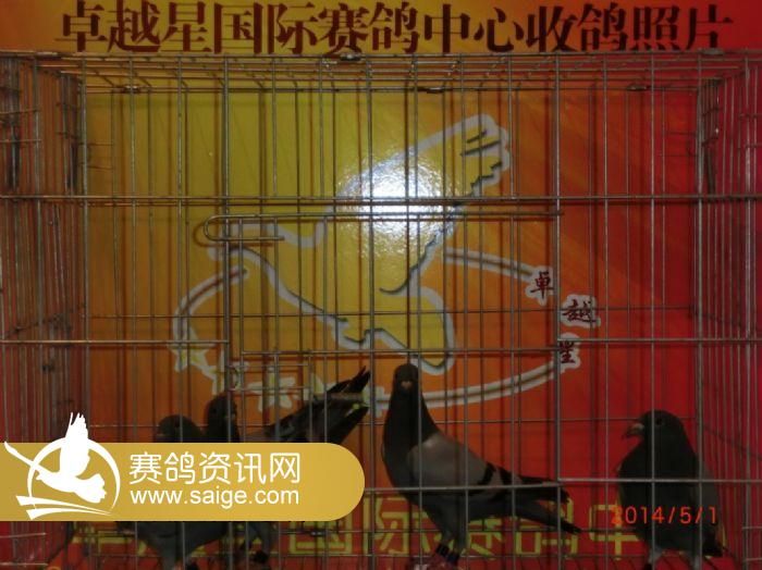 (5月1曰动态图片)