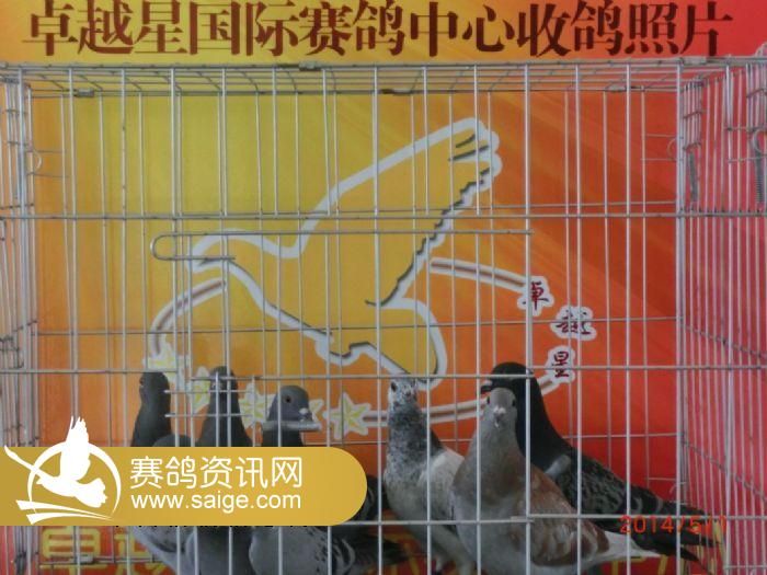 (5月1曰动态图片)