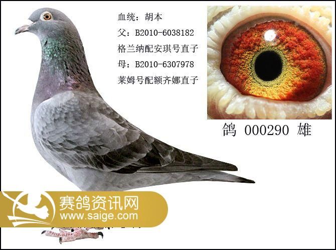 g_3872a73e-701b-41a3-907f-ae90c4fd2a6a.jpg