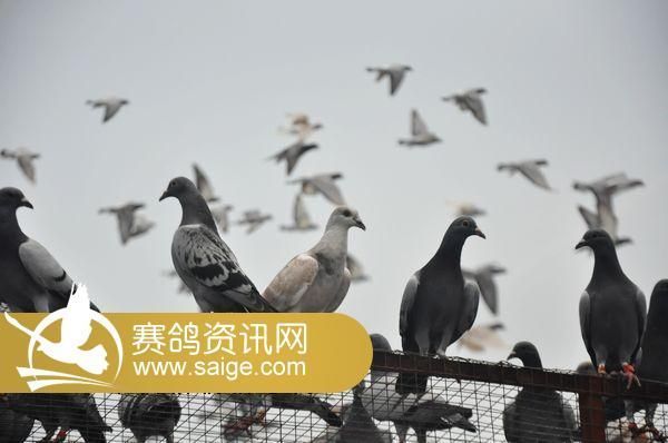 g_e0daad65-c7d3-452d-812f-d7ef11f4b95c.jpg