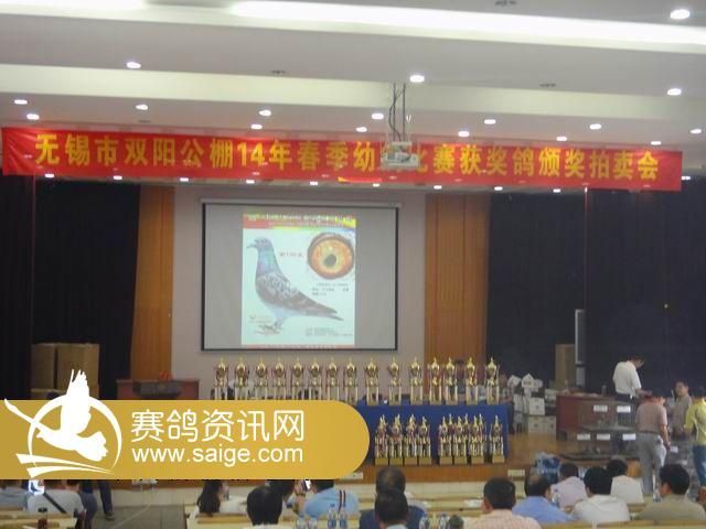 无锡双阳公棚2014年拍卖现场图_m03_志奇鸽舍 赛鸽资讯网