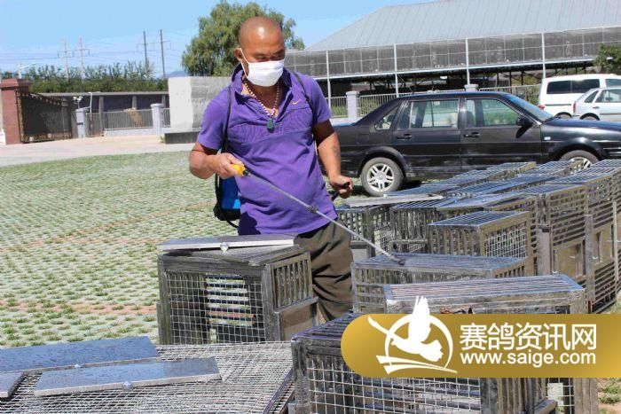 北京盛世滨河国际赛鸽公棚0公里训放-《清洗消