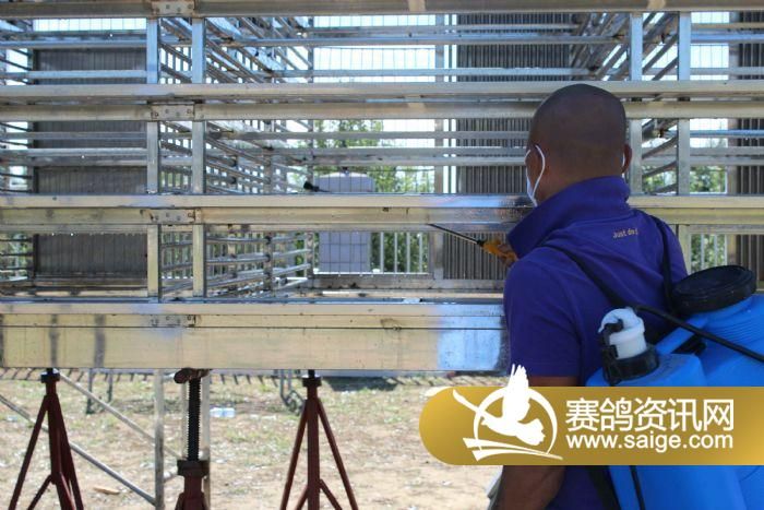 北京盛世滨河国际赛鸽公棚0公里训放-《清洗消