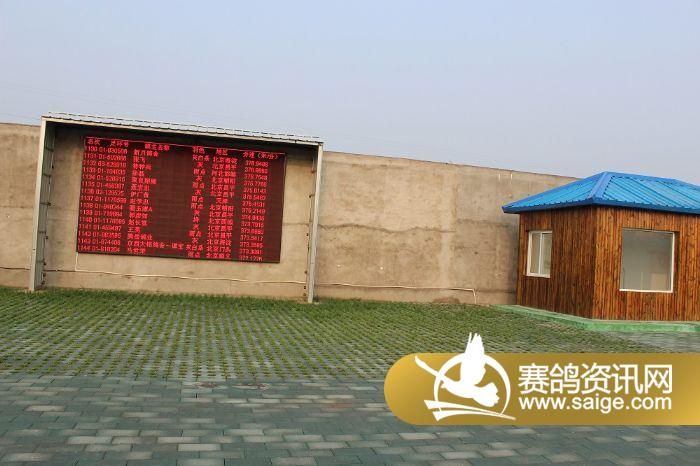 北京盛世滨河国际赛鸽公棚9月20日5公里训放