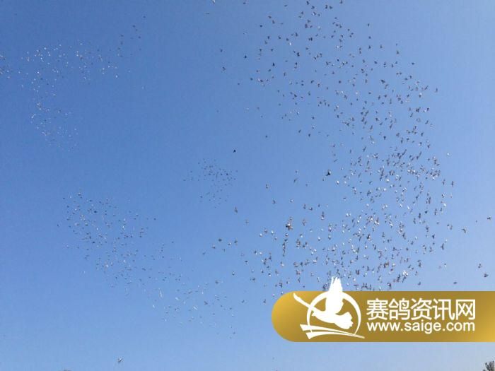 自由的图片配图 g_7016a9dc-eb4d-495d-ab8c-cd7cfebe7586.jpg