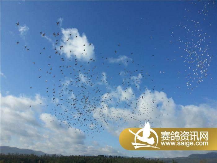 自由的图片配图 g_85231d91-3c41-4413-a616-7164f80d505b.jpg