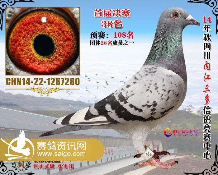 g_8f32df4b-1ca0-4b42-b614-0da80ab51774.jpg