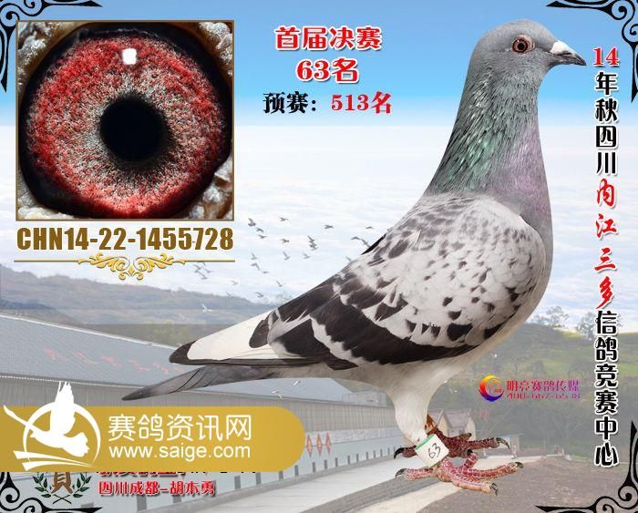 g_ca2104ce-1217-41bc-92f8-7521154c5d82.jpg