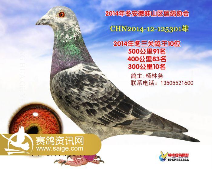 g_bc549a35-0b64-41c9-b7c7-334c337c3e64.jpg
