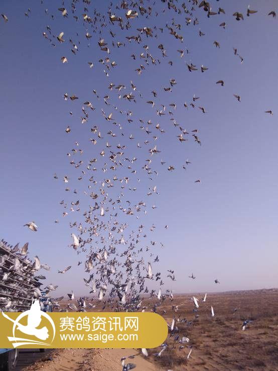 C:\Users\Administrator\Desktop\�½��ļ��� (3)\IMG20150309085048.jpg