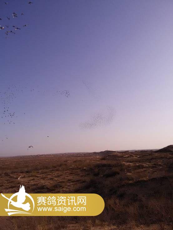 C:\Users\Administrator\Desktop\�½��ļ��� (3)\IMG20150309085137.jpg