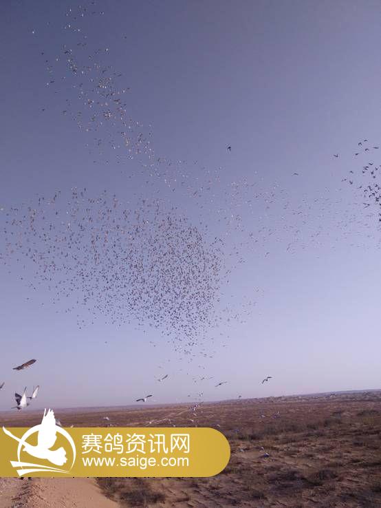 C:\Users\Administrator\Desktop\�½��ļ��� (3)\IMG20150309085112.jpg