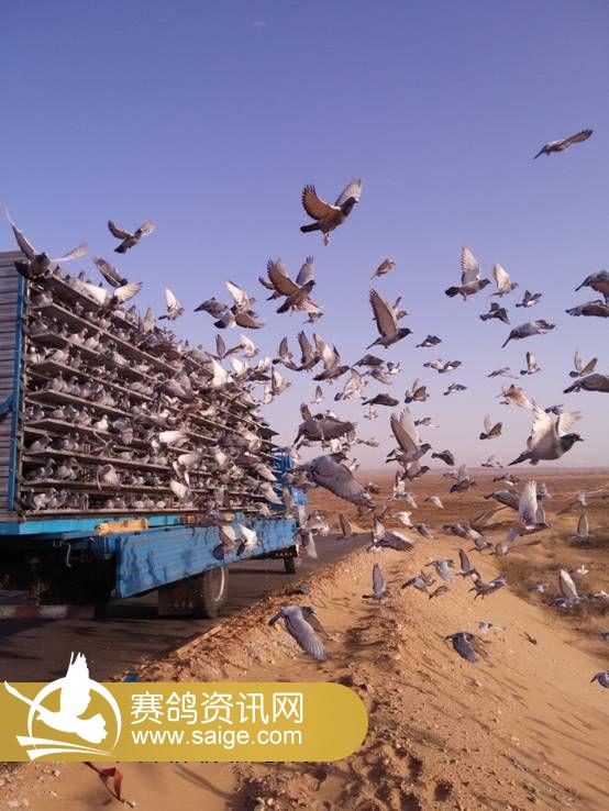 C:\Users\Administrator\Desktop\�½��ļ��� (3)\IMG20150309085027.jpg